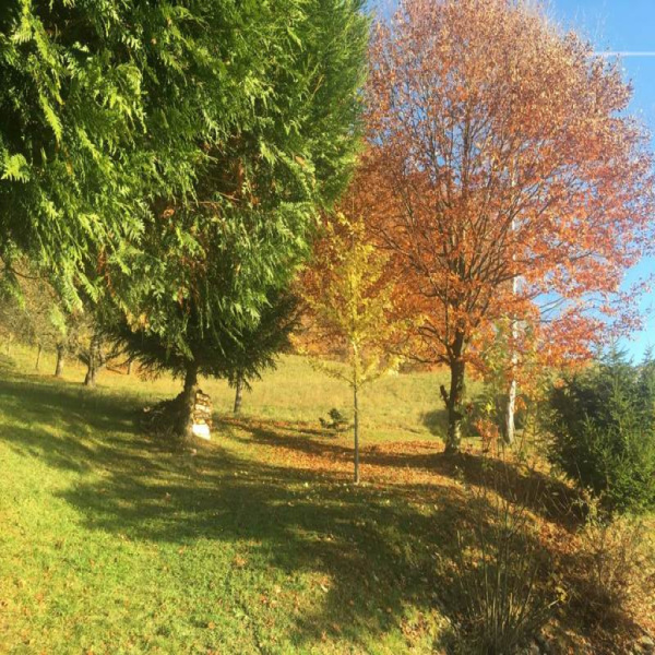 Offres de vente Terrain Sallanches 74700
